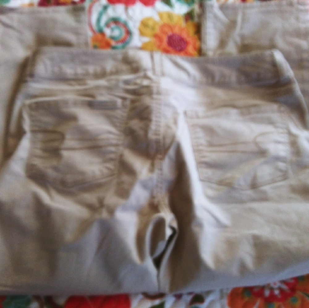 American Eagle Artist Crop Pant